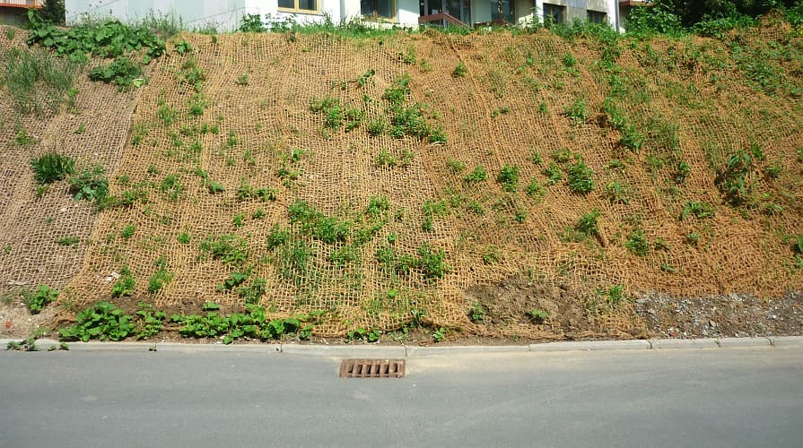 Řídká výsadba na zpevněném svahu